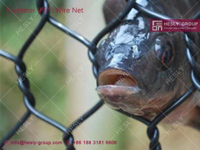 China Polyester Fish Farm Woven Net | HESLY Aquaculture cage system | 2.5mmX45x50mm for sale