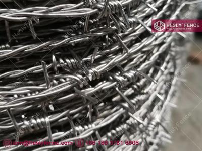 China Double Twist Barbed Wire | 12X14# Galvanised Barbed Wire for sale