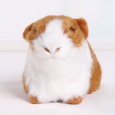 China Vivid Popular Animals Gifts Cute Pet Guinea Pig Plush Toys With Competitive Price for sale