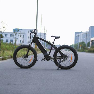 China Fat Tire Aluminum Alloy Bike 1000w Motorcycle Aluminum Alloy Fat Tire Electric Dirt Mountain Bike for sale