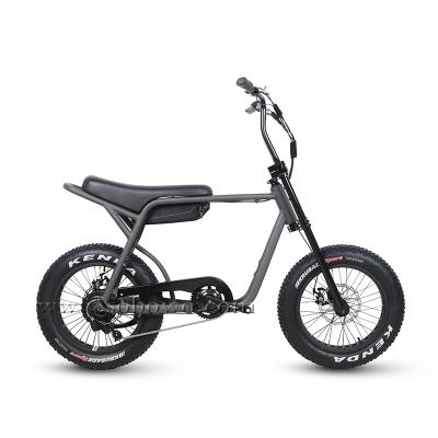 China Aluminum Alloy 20 Inch 24 Inch Fat Battery Long Range Single / Double Tire Electric Bike for sale