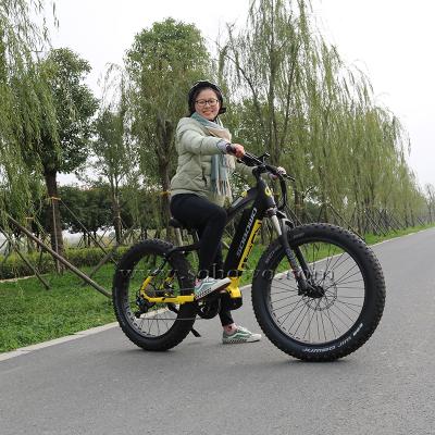 China Aluminum Alloy 26 Electric Bicycle 1000w Electric Bike 26 Inch Mid Motor Electric Bike Ebike China for sale