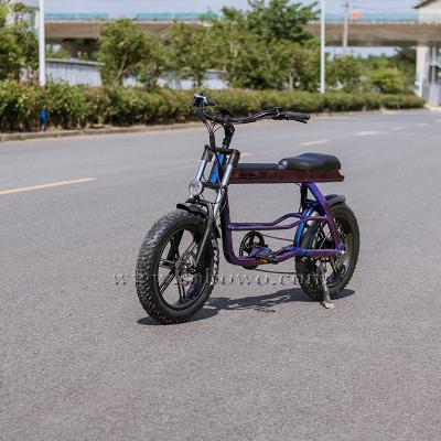 China New Model Sobowo Aluminum Alloy Hot Selling Aluminum Patent 20 Inch Adult 750w Electric City Cargo Bike for sale