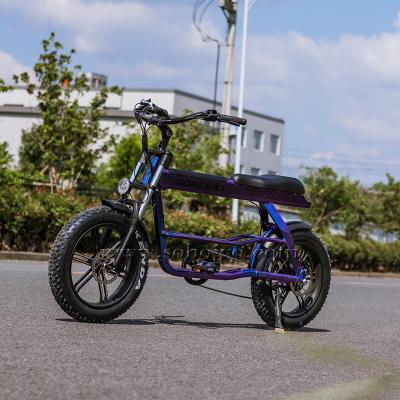 China Aluminum Alloy Sobowo Dual Battery Fashion Long Distance City 20 Inch Cargo Beach Cruiser Electric Bike for sale