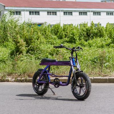 China High Quality Aluminum Alloy Changzhou Sobowo OEM Factory Fat Tire Rear Wheel Beach Cruiser Electric Bicycle for sale