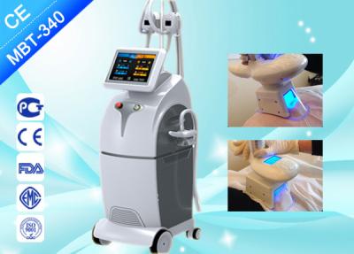 Κίνα Ρωσική μηχανή Cryolipolysis/παχιά μηχανή αδυνατίσματος παγώματος Cryolipolysis προς πώληση