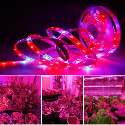 China 5V Flexible USB LED Grow Light Full Spectrum Waterproof LED Strip Lights 2835 5050 Greenhouse Hydroponic Phyto Plant Growing Lamps 60LEDs for sale