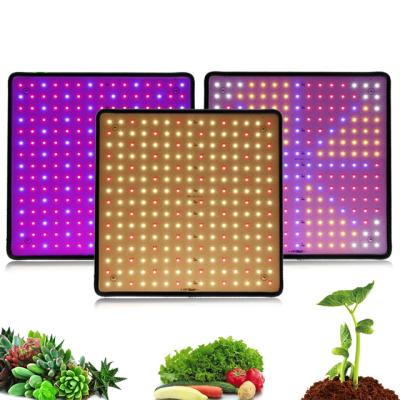 China Plant Growth 1000W LED Grow Light Phyto Lamp AC85-240V Panel Light Full Spectrum EU/US Plug For Indoor Grow Tent Plant Grow Light for sale