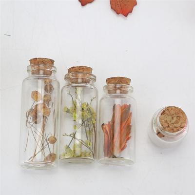 China Clear Beverage Bottle Wish Message Vial With Cork Home Decor Glass Wedding Clear Glass Small Wish Bottle for sale