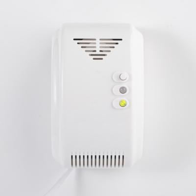 China ABS Plastic Indoor Portable Methane Detector With Ce And Rohs Certificate for sale