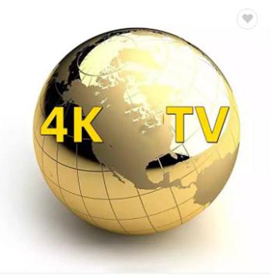 China FUHD Wholesale Price M3U IPTV Supplier Latin Canadian Adult xxx TV USA Netherlands Africa Arabic IP TV Code for sale