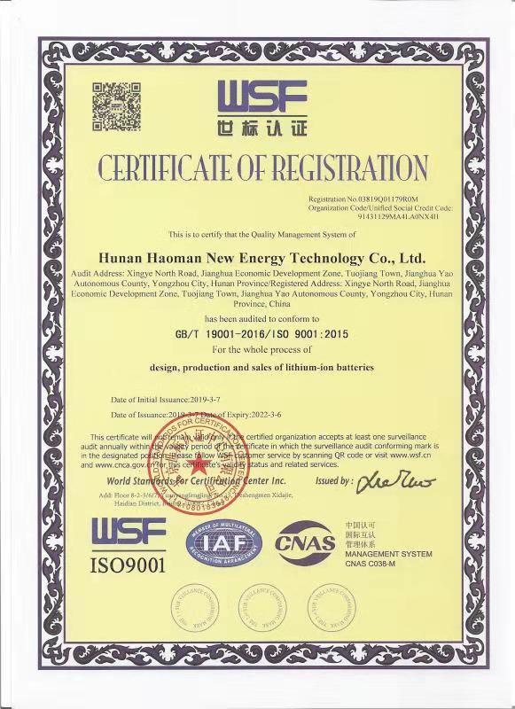 ISO9001 - Dongguan Fly Energy Technology Co., Ltd.