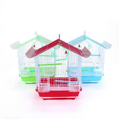 China Wholesale Viable Live Birds, Finches, Parrots, Packing Pigeons, Parakeets Bird Cages for sale