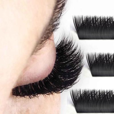 China Natural Soft Private Label Matte Flat Volume Hair Eyelash Extensions Supplies Wholesale for sale