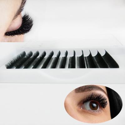 China Professional pbt natural soft fiber premade eyelash extension kits 0.03 0.05 0.070.20 cceyelash Korea for sale