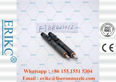 Chine La pompe d'injection d'EJBR02101Z Delphes partie l'injecteur 2101Z de distributeur de pompe à essence à vendre