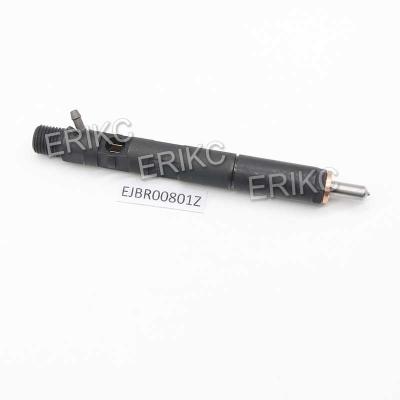 China ERIKC EJB R00801Z Auto Fuel Injector EJBR0 0801Z Fuel Pump Assembly EJBR00801Z For Delphi for sale