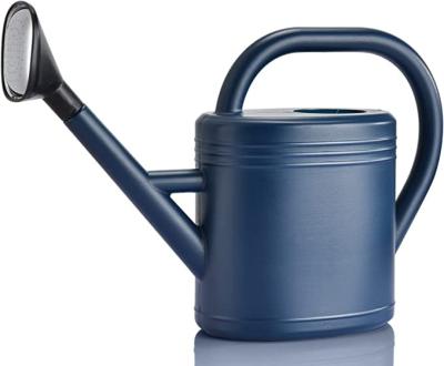 China Garden Watering Tools Watering Can Outdoor Ornamental Garden Tools Long Spout Watering Can With Detachable Sprinkler Head for sale