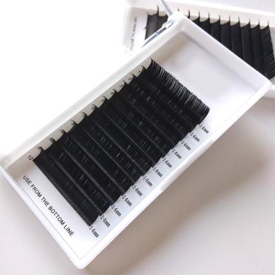 China Softer Hot Sale Eyelash Extensions Eyelash Extension Products Premium Eyelash for sale