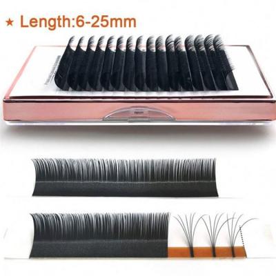 China One Softer Supplies4D 5D 6D~10D 0.03 0.05 0.07 0.10 Quick Fan Eyelash Extensions Fan Easy Volume Lash for sale