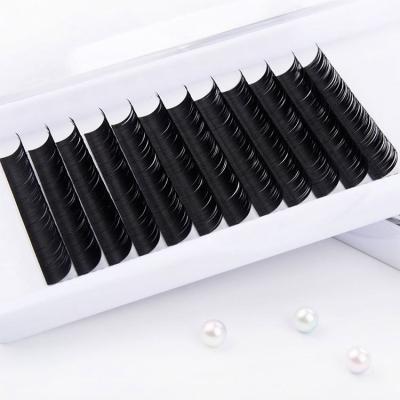 China Softer Japan Pbt Private Label Soft Tip Ellipse Single Cavity Flat Lash Eyelash Extension for sale