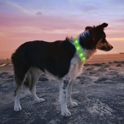 China Lights Pet Safety Easy Cut Accessory LED Lights USB Rechargeable Silicone Dog Collar for sale