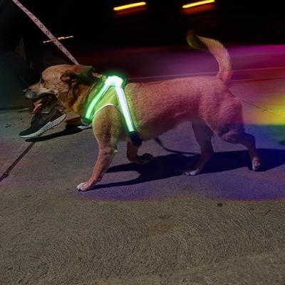 China Adjustable Lights Night Safety USB LED Anti-Lost Rechargeable Dog Harness Vest for sale