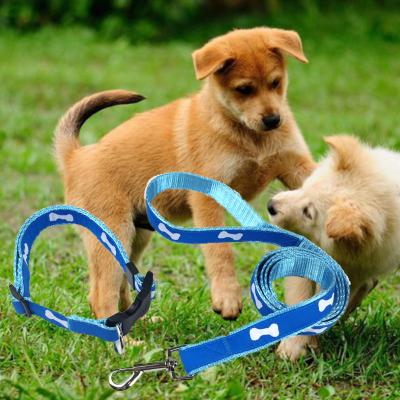 China Viable Factory Wholesale Woven Double Layer Dog Leash Luxury Adjustable Pet Training Collar And Leash for sale