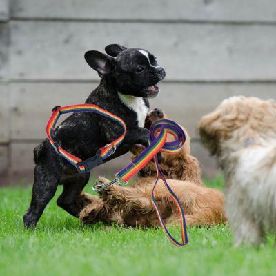 China Sustainable Wholesale PP Pet Working Leash And Collar Set Bulk Durable Dog PP Rainbow Leash for sale