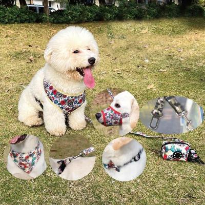 China DETACHED OEM Custom Printing 7 in 1 Pet Leash and Harness Set Heat Transfer Dog Leash Set for sale