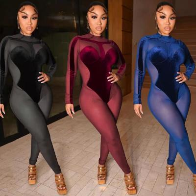 China European sexy tight women's perspective mesh velvet anti-pilling border fashion the new long-sleeved and American pants overalls for sale