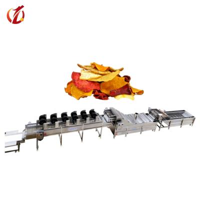 China processing line fruit and vegetable french fries potato chips production fruit and vegetable fries production line for sale