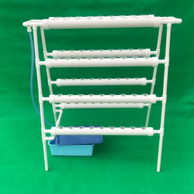 China Black and White Color Black and White Color Hydroponic Seed Foam Sponge Easy Growing Growing Tray For Greenhouse for sale