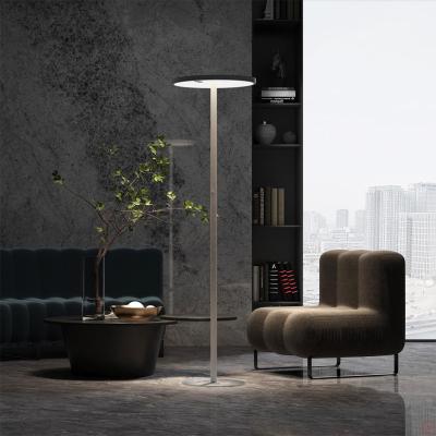 China CMN Modern Lighting Luna Series Round Shape Modern Desk Floor Lamp, Office Floor Light for sale