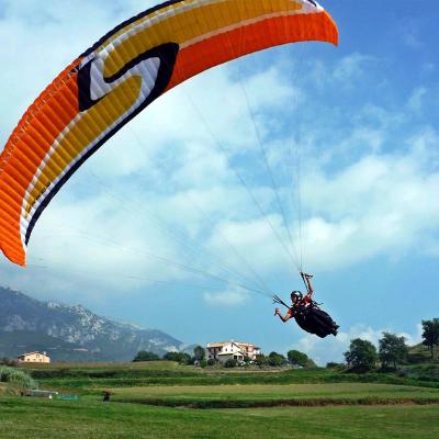 China Outdoor Activities 2022 China Dragon Paragliders Nylon Customized Color Experience Outdoor Flying Outdoor Paragliders for sale