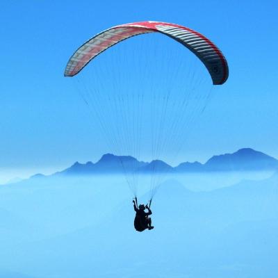 China Top Selling China Dragon Paragliders Extreme Outdoor Sports Customized Logo and Color for sale