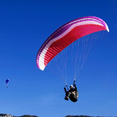 China Outdoor extreme sports China Dragon Paragliders Customized Logo new extreme sports outdoor style and color for sale