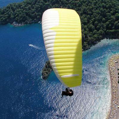 China China Nylon Dragon Paragliders Outdoor Extreme Sports Outdoor Relax Activity Customized Color Paragliders for sale