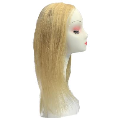 China Manufacturers Direct Wave Silky Straight 27# European And American Brazilian Full Lace Human Hair Wig for sale