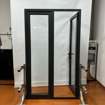 China 5mm Glass Aluminium Hinged Doors With Color And Powder Coating Surface Finish for sale