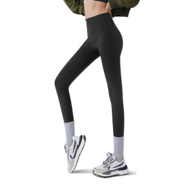 China Black waist women leggings de cintura Alta de sweat-Wicking the high a vita Alta de gym pour women sports ladies tights gaiters for women for sale