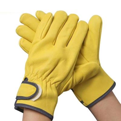 China Anti-Slip Yellow Sheep Driver Leather Glove with Hook&LOOP for sale