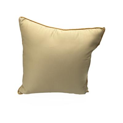 China Hot Selling Suzhou 1005 Anti-static Silk No MOQ Square Custom Cushion Small Size Silk Pillow for sale