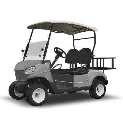 China 2023 Chinese Factory New Model 2 Seater Golf Cart With Big Storage Compartments 10/12/14 for sale