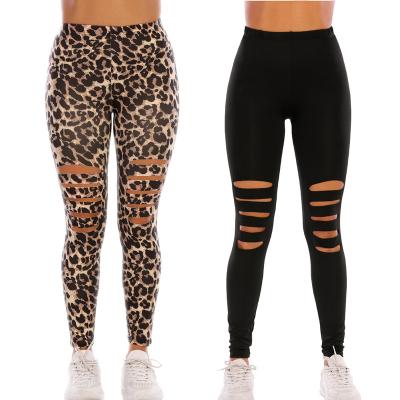 China Snagging Resistance Fashion Design New Hollow Out Leopard Print Black High Waisted Pants Tight Seamless Yoga Leggings For Women for sale