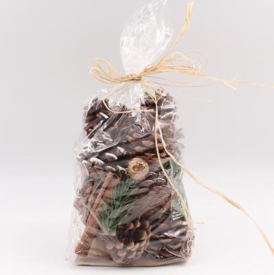 China Pinecone from Europe in bag for sale