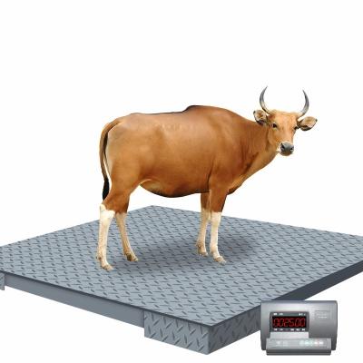 China Carbon Steel Plate Digital Weight 1-5 Ton Electronic Animal Floor Livestock Scale , Heavy Duty Industrial Floor Weighing Scale for sale