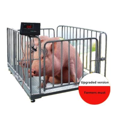 China Stable Livestock Scale Cheap Livestock Performance Weighing Scale for sale