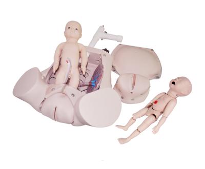 China Hospitals childbirth simulator with fetus placenta, abdominal palpation and delivery mechanism built-in model, rotating delivery KSM-96 for sale