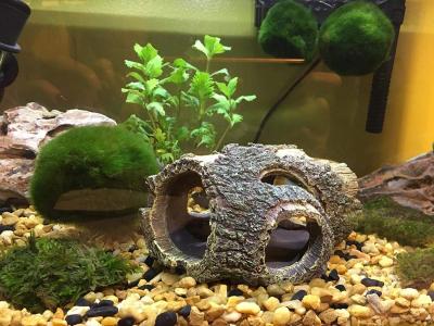 China Artificial Driftwood Aquarium Decoration Items for sale